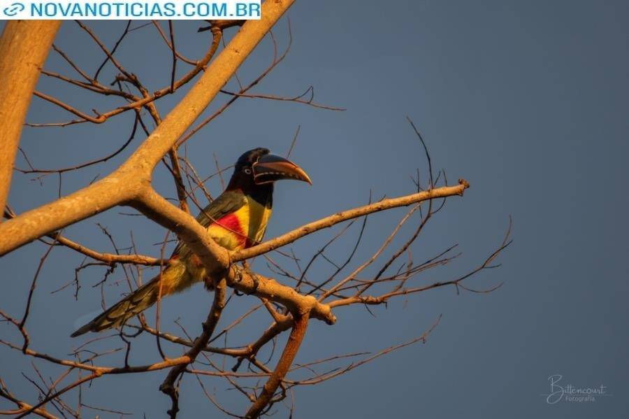 Left or right m 222 12 1 20102025095058