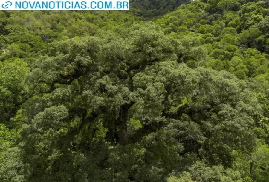 Left or right 0000000