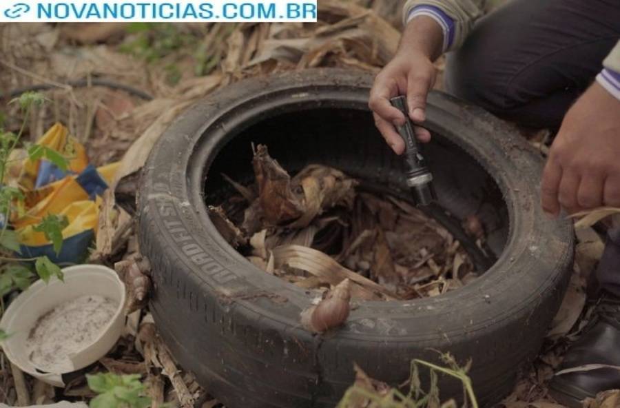 Left or right dengue 1