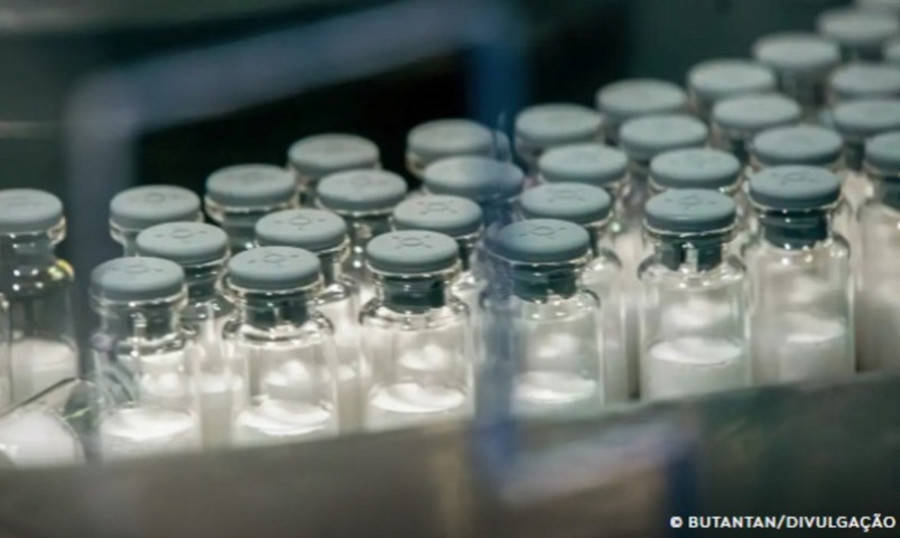 Left or right vacina contra dengue do butantan pode ser aprovada pela anvisa ja na proxima semana 17626035900342 thumb