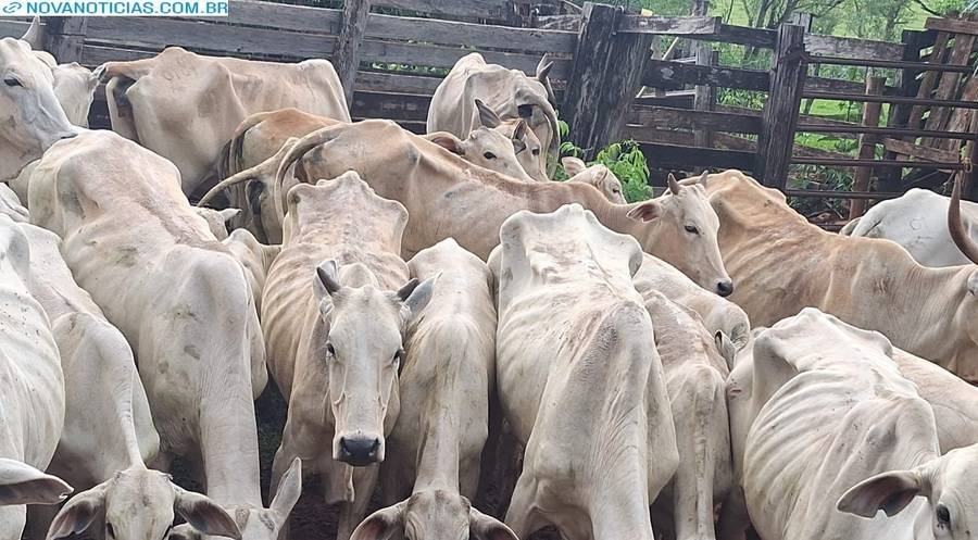 Left or right sem t tulo