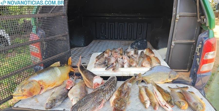 Left or right peixes