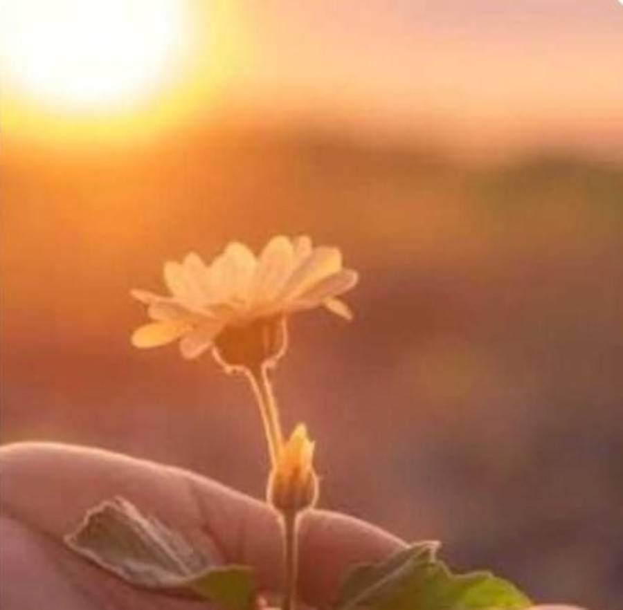 Left or right sem t tulo