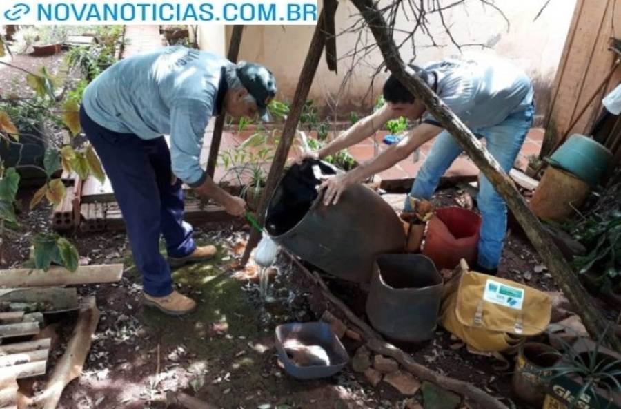 Left or right ms ultrapassa 83 mil casos de dengue e registra 18 mortes vacinacao chega a 200 mil doses aplicadas 17640160012876 thumb