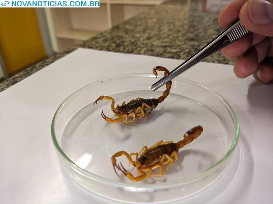 Left or right m 222 0 2 08122025134934