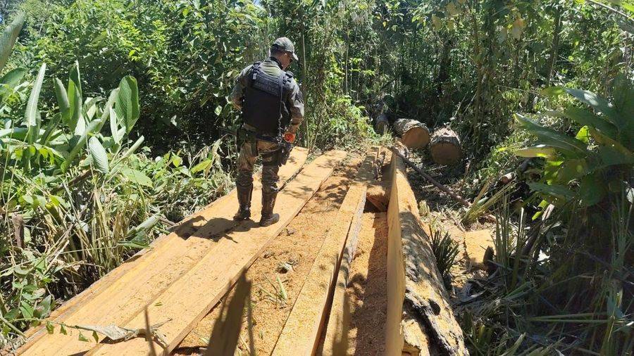 Left or right sem t tulo