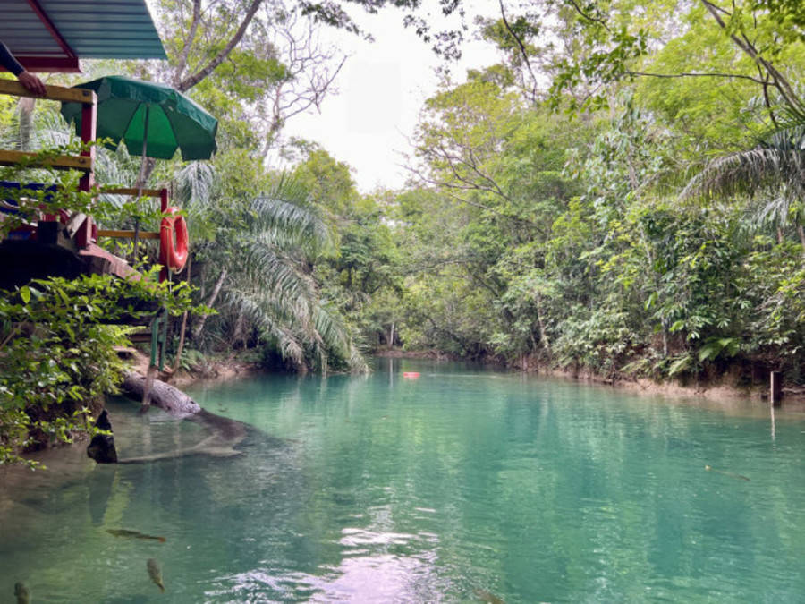 Left or right prefeitura de bonito apura suspeita de fraude na cobranca da taxa de conservacao ambiental 17676968380119 thumb