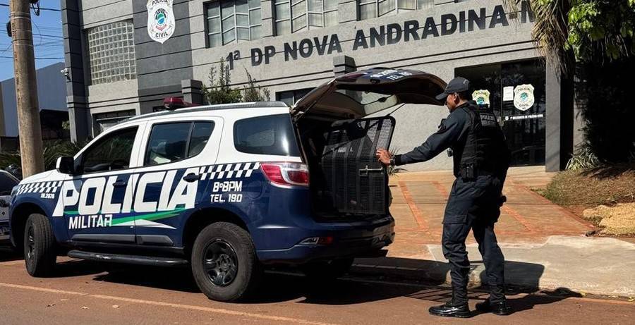 Left or right preso di a08 01