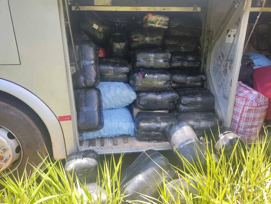 Left or right muamba na ms 040