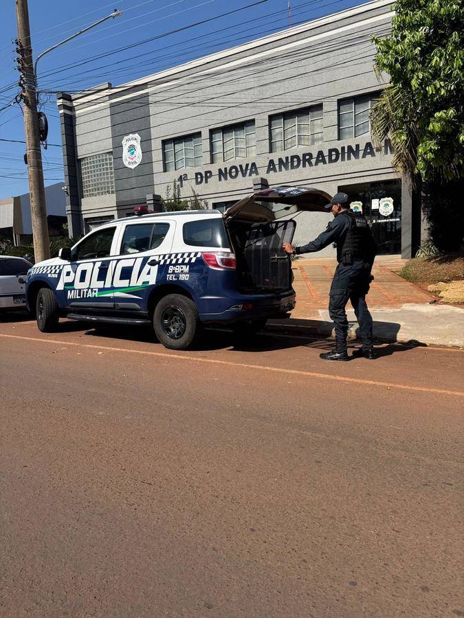 Left or right sem t tulo